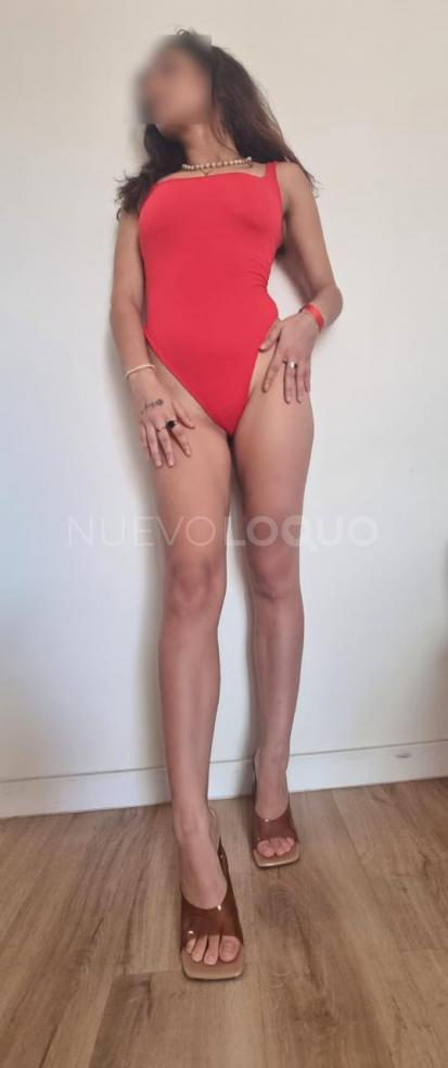 NuevoLoquo3