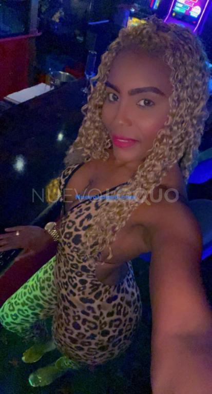 NuevoLoquo1