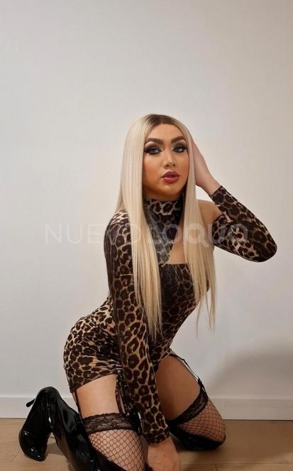 NuevoLoquo4
