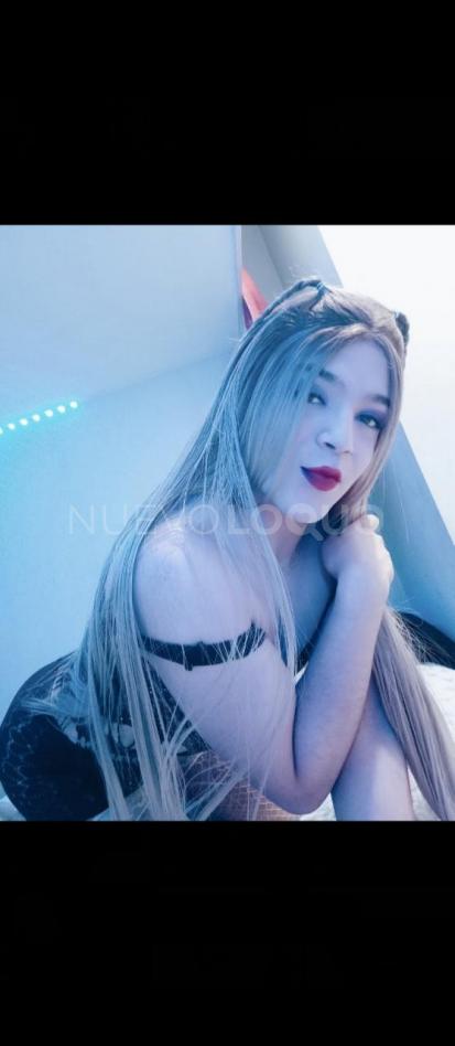 NuevoLoquo1