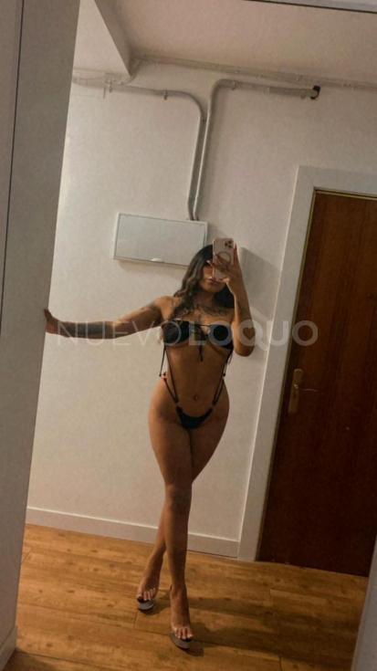 NuevoLoquo3