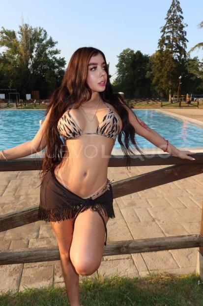 NuevoLoquo2