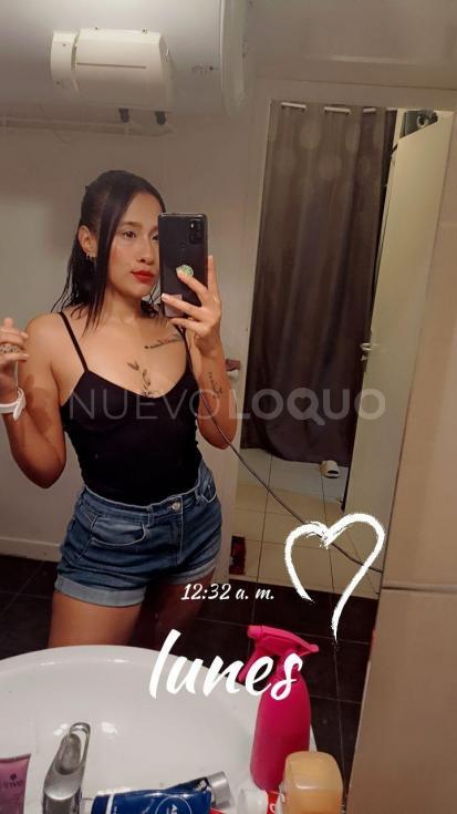 NuevoLoquo3