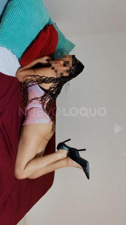 NuevoLoquo1