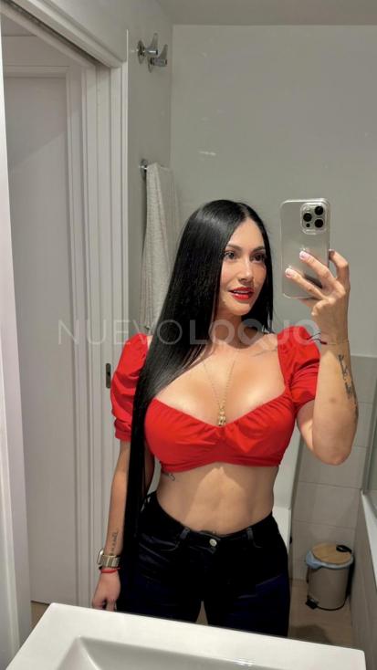 NuevoLoquo2