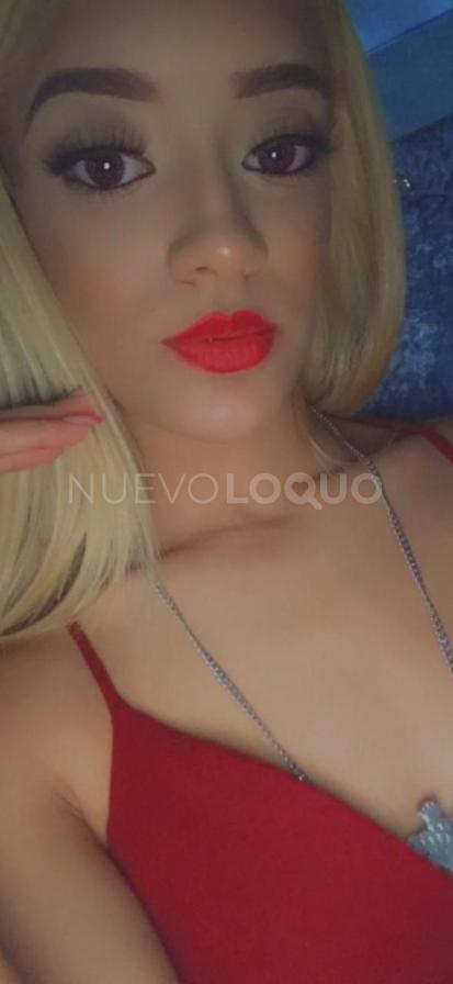 NuevoLoquo5