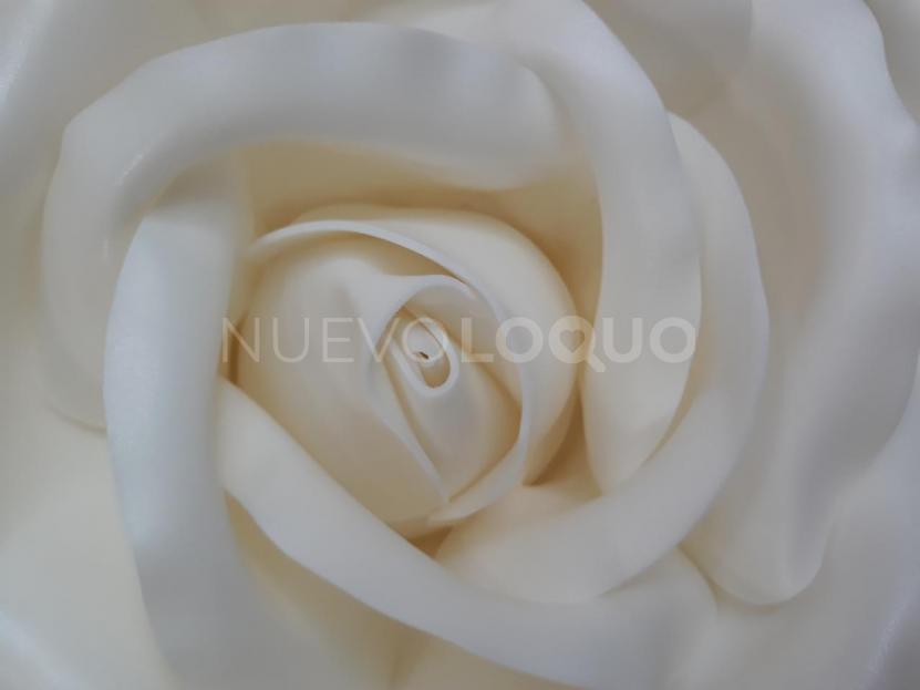 NuevoLoquo3
