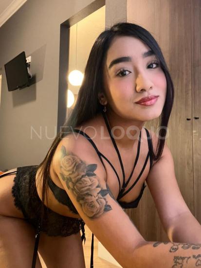 NuevoLoquo1