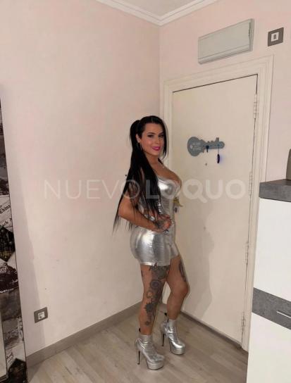 NuevoLoquo3