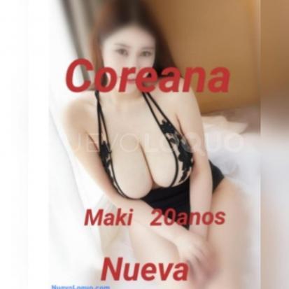 NuevoLoquo4