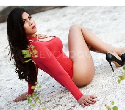 NuevoLoquo3