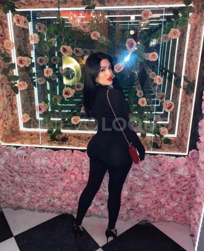 NuevoLoquo3