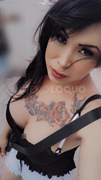 NuevoLoquo3