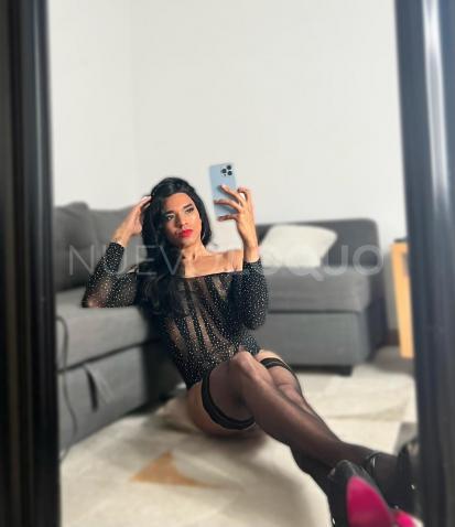 NuevoLoquo2