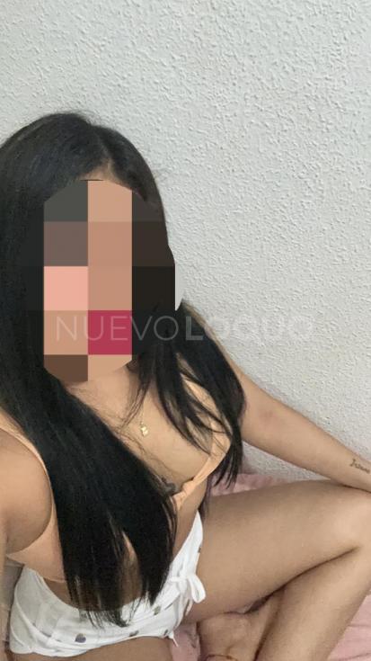 NuevoLoquo2