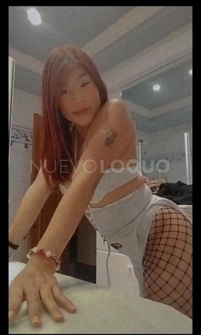 NuevoLoquo3