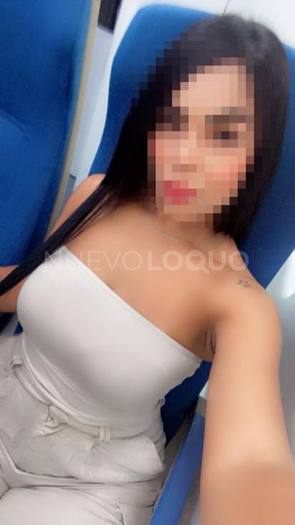 NuevoLoquo3