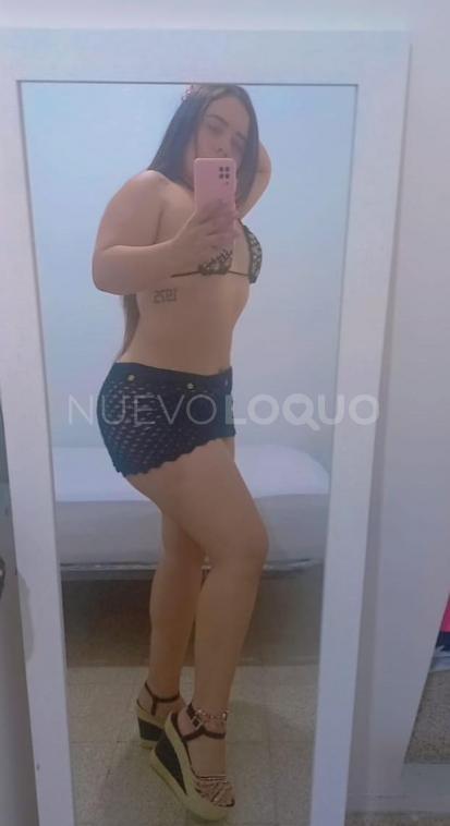 NuevoLoquo3