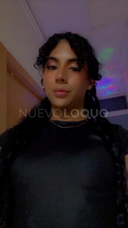 NuevoLoquo3