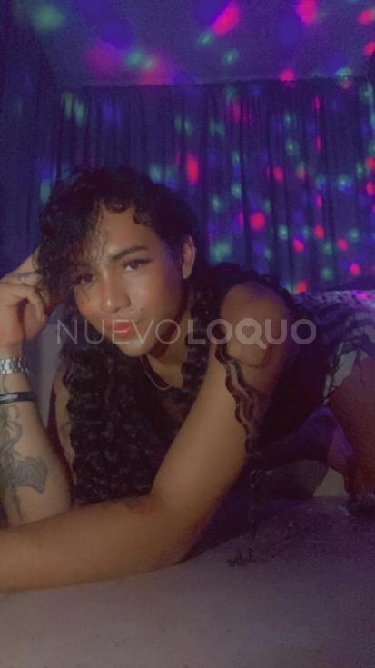 NuevoLoquo4