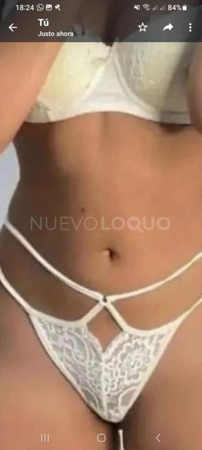 NuevoLoquo3