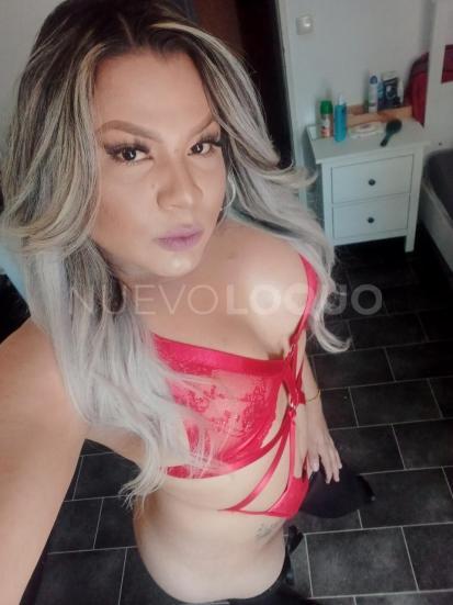 NuevoLoquo2
