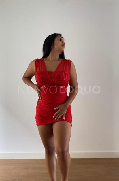 NuevoLoquo3