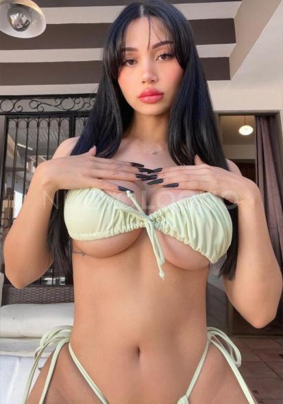 NuevoLoquo3