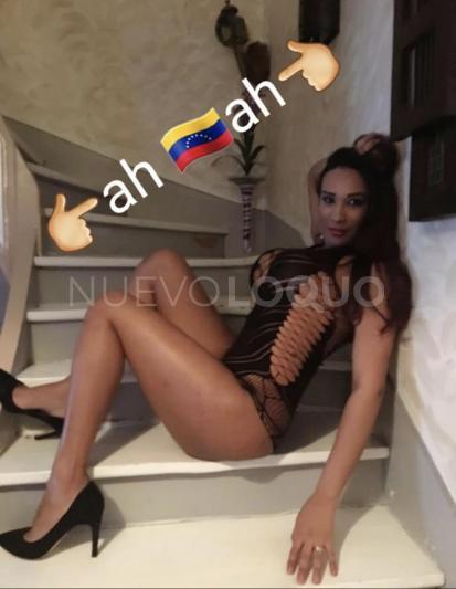 NuevoLoquo5