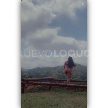 NuevoLoquo1