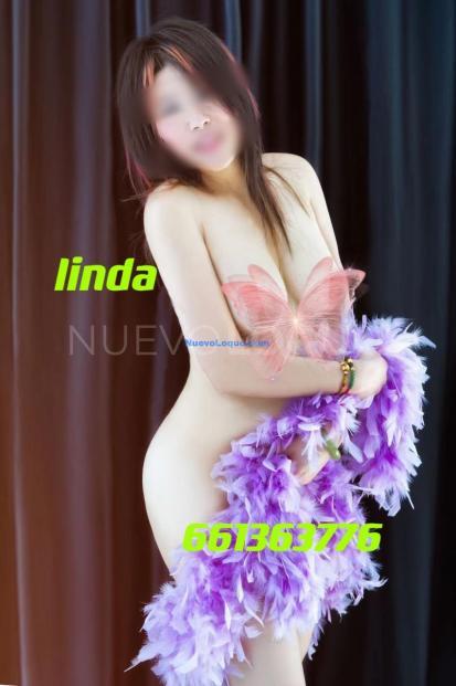 NuevoLoquo2