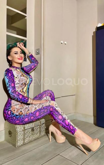 NuevoLoquo3