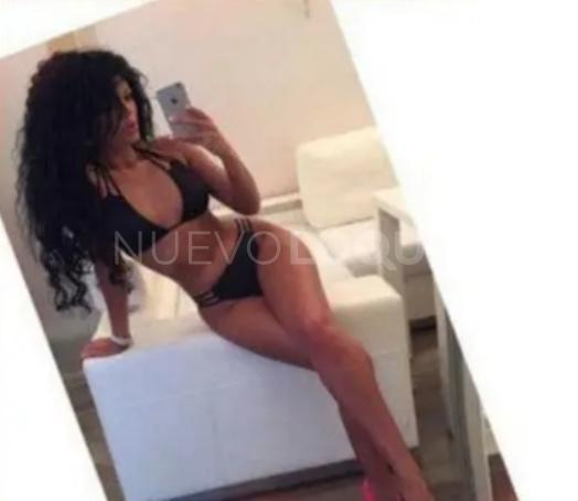 NuevoLoquo2