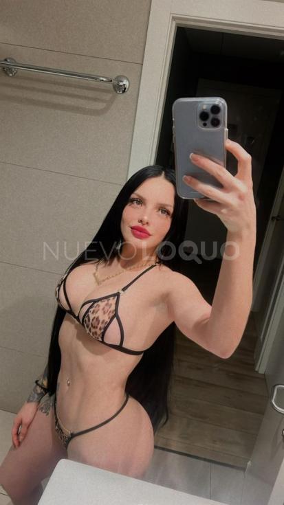 NuevoLoquo2