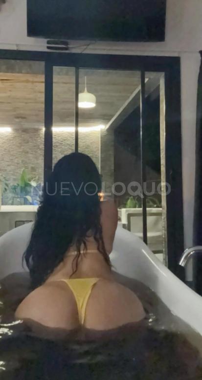 NuevoLoquo2