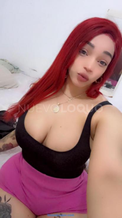 NuevoLoquo2