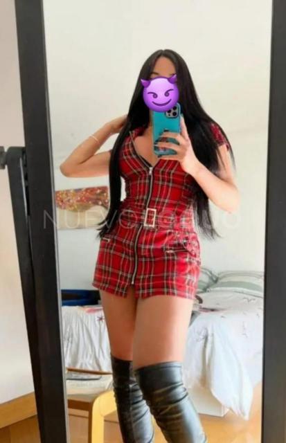 NuevoLoquo2