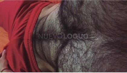 peludo machote para tu momentos de relax