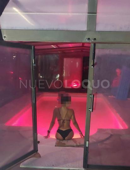 NuevoLoquo2