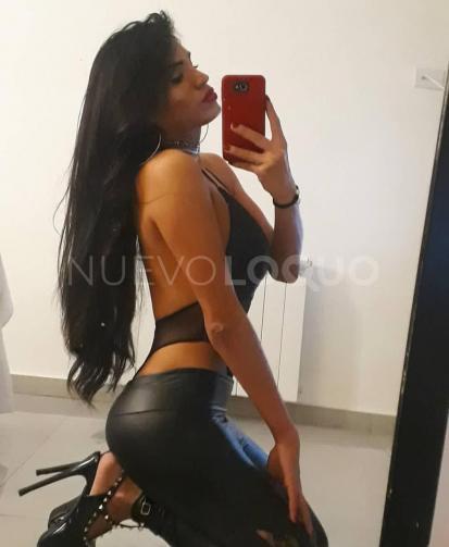 NuevoLoquo1