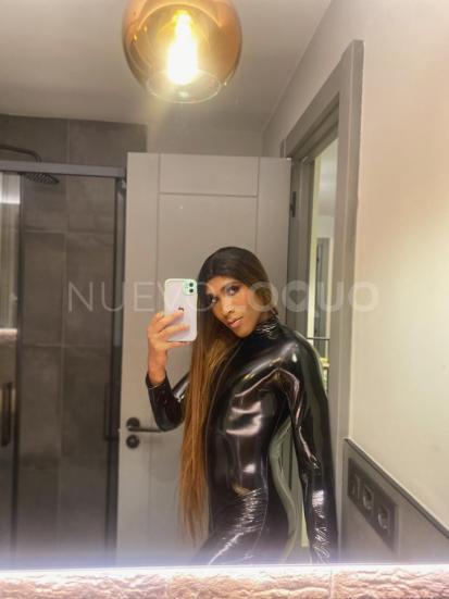 NuevoLoquo3