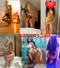 ESPECTACULARES GATITAS TRAVIESAS  FOTOSREALES DISP.H TB.VAMOS  O DOMICILIO