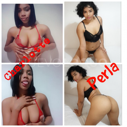 NuevoLoquo1