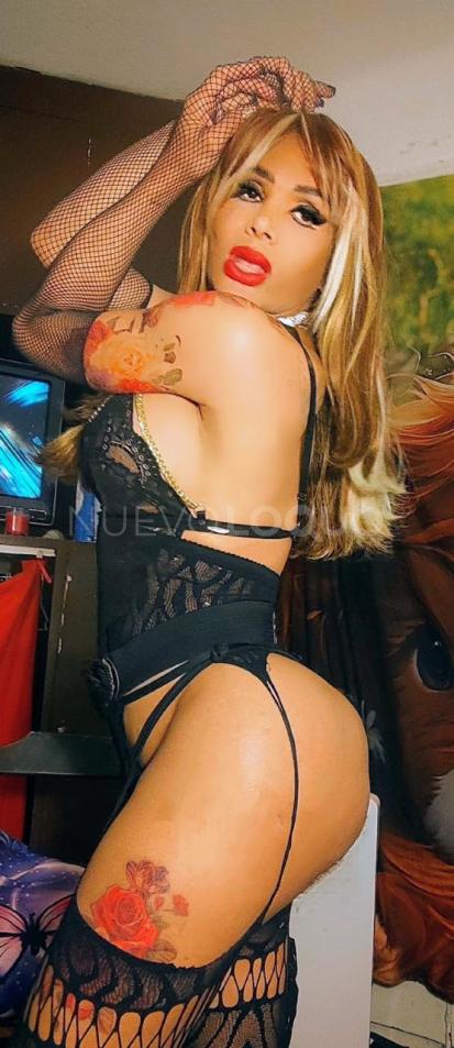 NuevoLoquo2