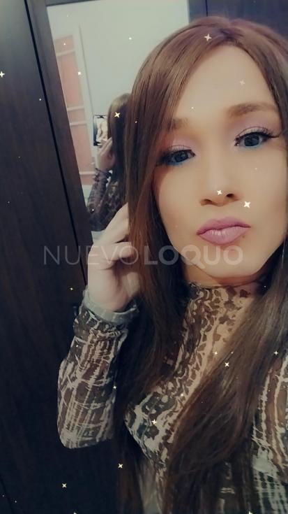 NuevoLoquo1
