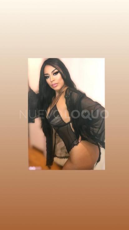NuevoLoquo4