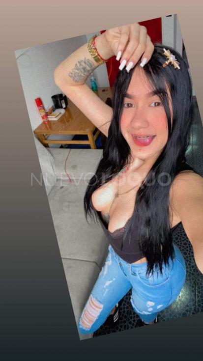 NuevoLoquo1