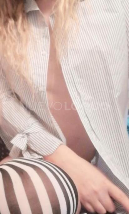 NuevoLoquo1