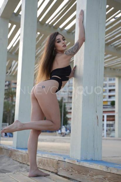 NuevoLoquo3