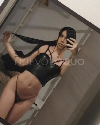 NuevoLoquo2